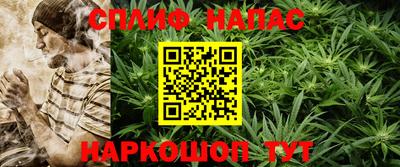 дурь Славгород