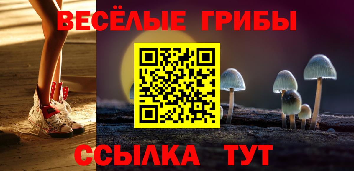 Псилоцибиновые грибы Psilocybe  Галлюциногенные грибы Magic Shrooms  Вход с VPN  Новочеркасск 